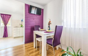 Lovely Apartment In Ostrvica With Wifi